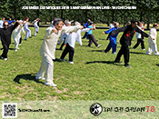 Tai Chi Chuan 78