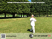 Tai Chi Chuan 78