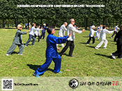 Tai Chi Chuan 78