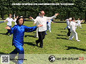 Tai Chi Chuan 78