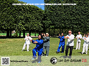 Tai Chi Chuan 78