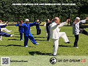 Tai Chi Chuan 78