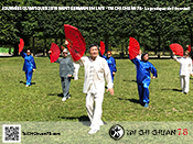 Tai Chi Chuan 78