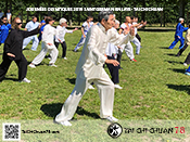 Tai Chi Chuan 78