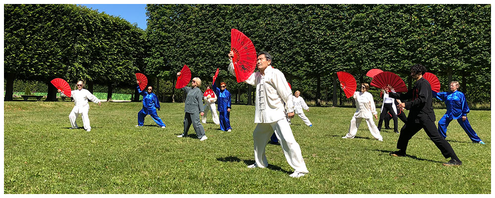 Journées Olympiques Juin 2019  - Démonstrations de Tai chi chuan à St Germain En Laye