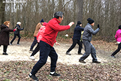 Tai Chi Chuan 78