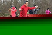 Tai Chi Chuan 78