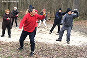 Tai Chi Chuan 78